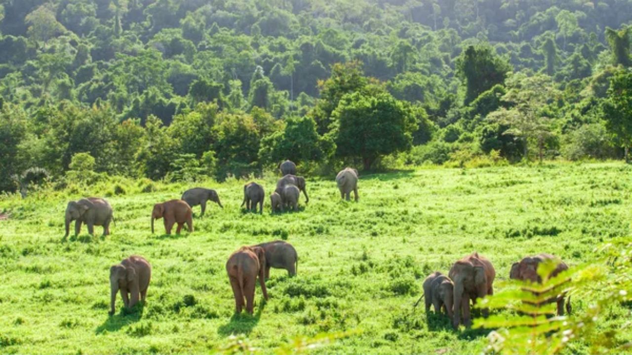 Parc national de Kui Buri