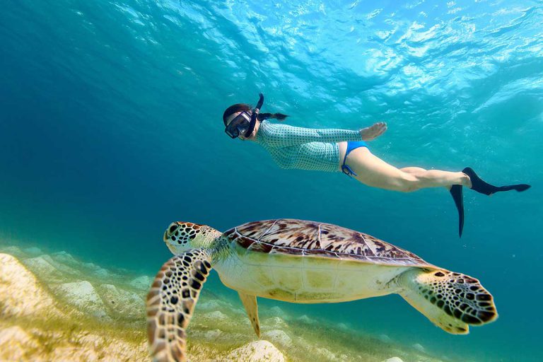 snorkeling